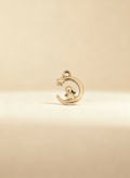 Charm Rabbit Dourado