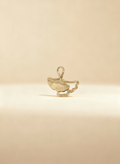 Charm Apricot Dourado